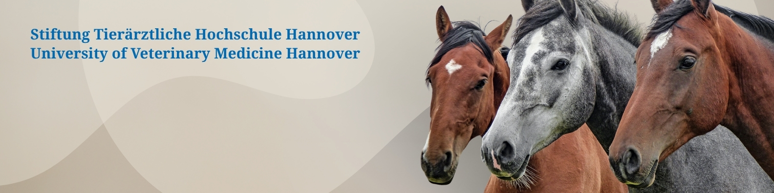 Fortbildung der Klinik für Pferde