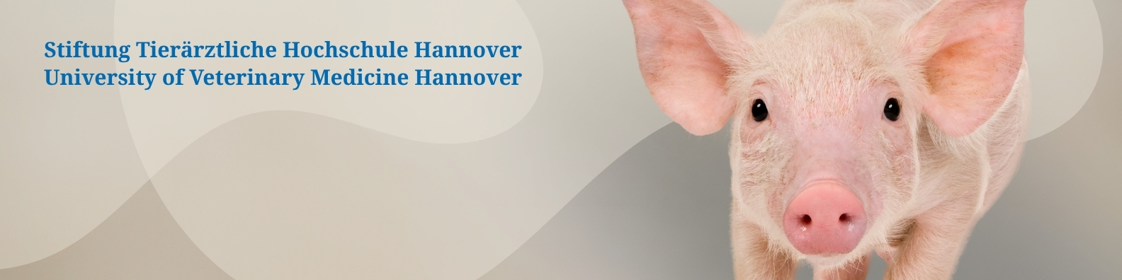 Testveranstaltung